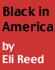 Black in America